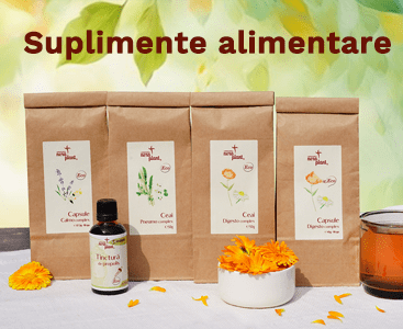 Restorative Monastic Herbal Infusion